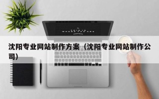 厦门沈阳专业网站制作方案（沈阳专业网站制作公司）
